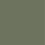 tablero_PET_mate_lichen_green