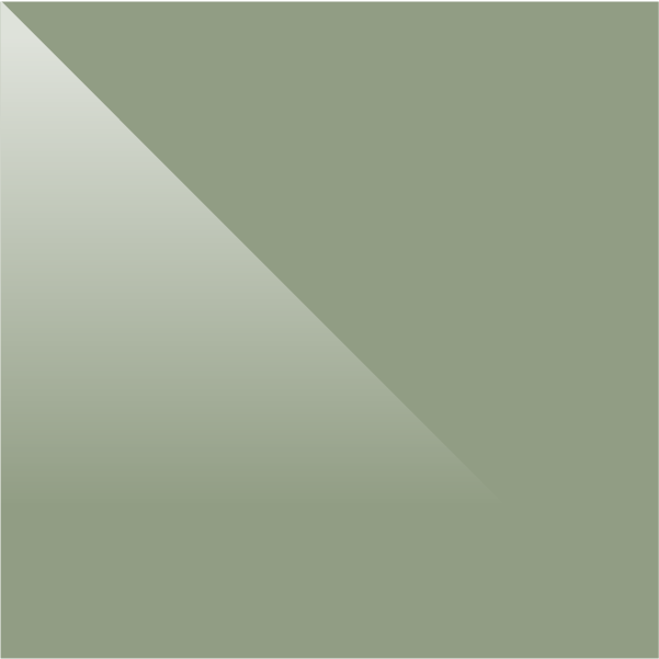 tablero_pet_hg_lichen_green