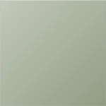 tablero_pet_mate_lichen_green